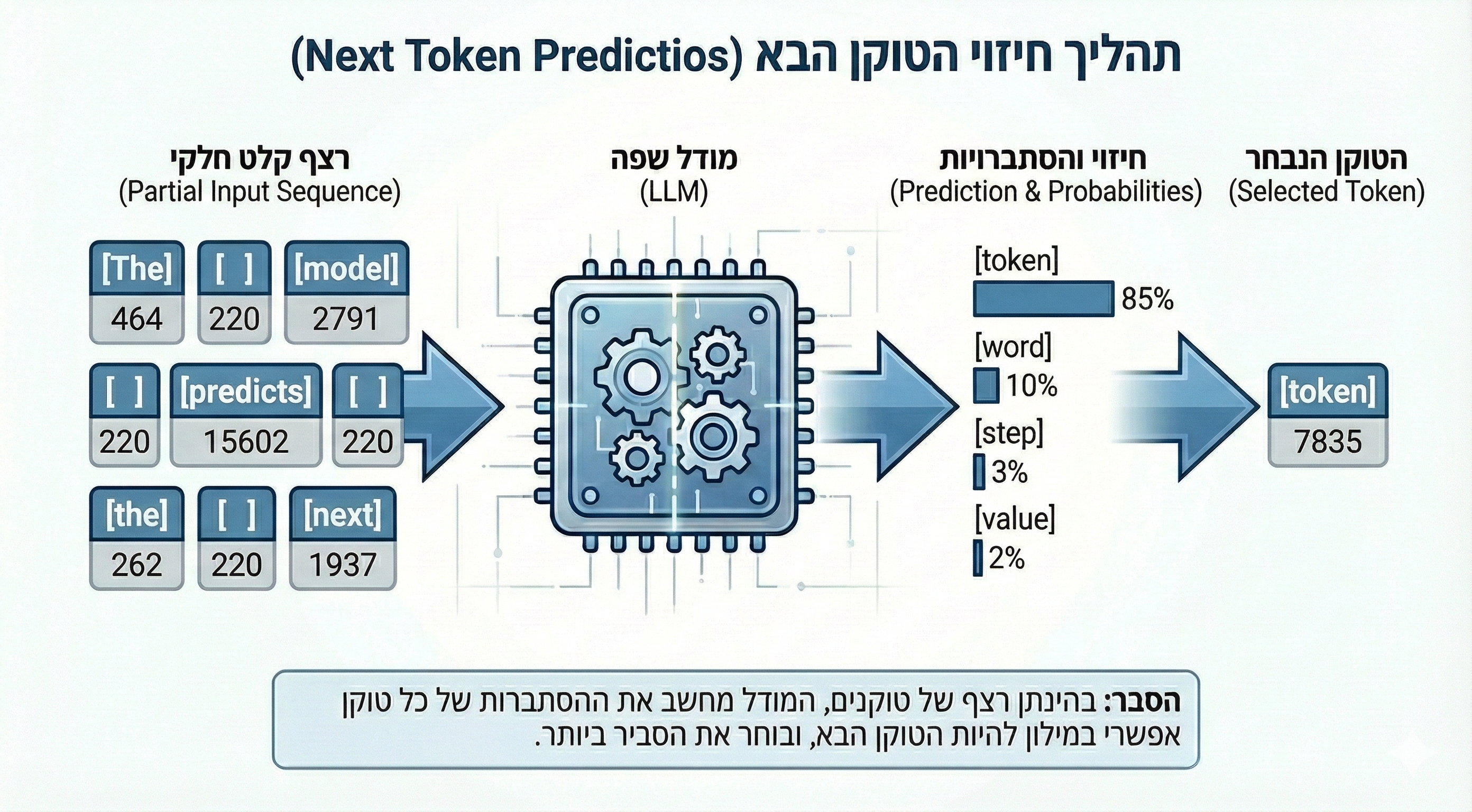 אינפוגרפיקה טכנית בעברית ובאנגלית הממחישה את תהליך 'חיזוי הטוקן הבא' (Next Token Prediction) במודל שפה (LLM). התרשים מציג זרימה משמאל לימין: קלט של רצף טוקנים חלקי ('The model predicts the next'), עיבוד על ידי שבב LLM, הצגת חיזוי והסתברויות בגרף עמודות עבור מועמדים שונים (למשל, הטוקן '[token]' עם 85% הסתברות), ולבסוף בחירת הטוקן בעל ההסתברות הגבוהה ביותר כפלט הסופי.