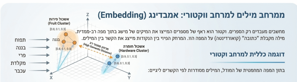 אינפוגרפיקה המדגימה את מושג האמבדינג (Embedding) – המרת מילים לווקטורים במרחב תלת-ממדי. התרשים מראה כיצד מילים בעלות קשר סמנטי קרוב (כמו 'תפוח' ו-'בננה' ב'אשכול פירות') מקובצות יחד, לעומת מילים רחוקות סמנטית (כמו 'מקלדת' ב'אשכול חומרה') הממוקמות באזור נפרד ומרוחק.